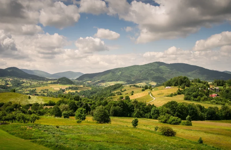 Urlaub in Polen mit Hund