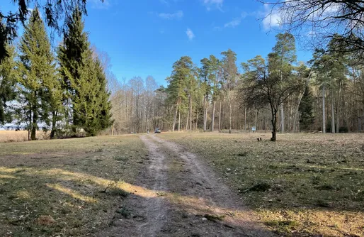 Masuren Polen Miejsce kamperowe i namiotowe - Polana Trzy Sosny