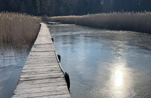 Miejsce kamperowe i namiotowe - Polana Trzy Sosny