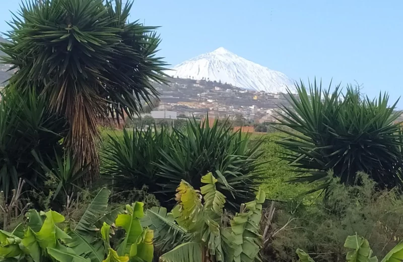 Teneriffa Spanien Agro Camping Invernaderito