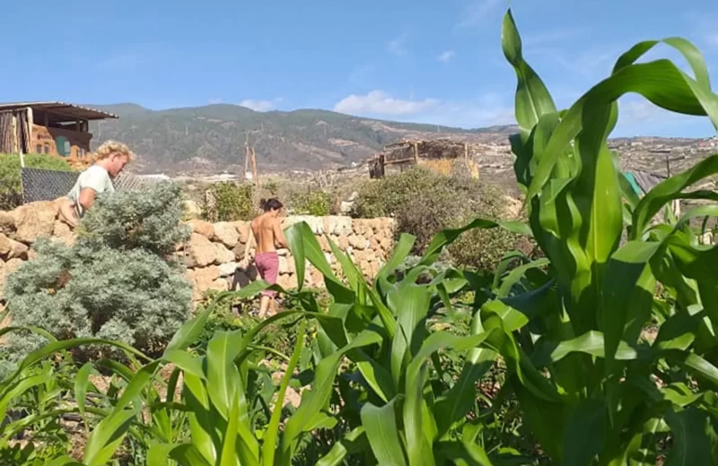 Teneriffa Spanien Agro Camping Invernaderito