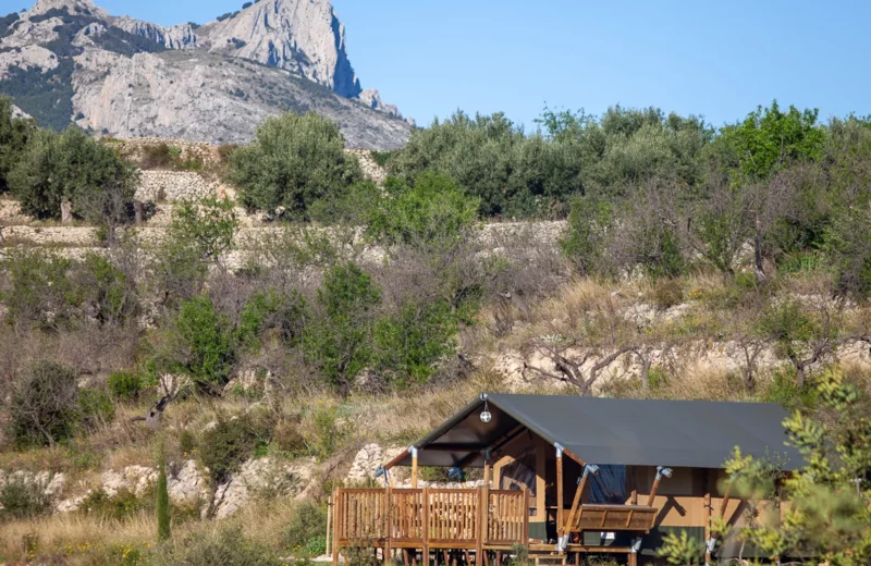 Glamping Tienda de Safari Alicante