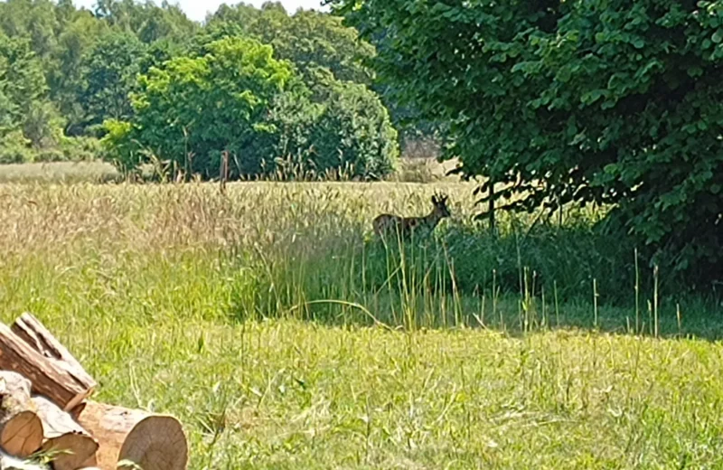 Urlaub Polen