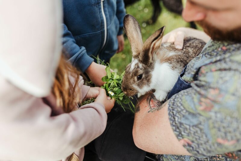 Agrotourismus Polen Danzig Polen