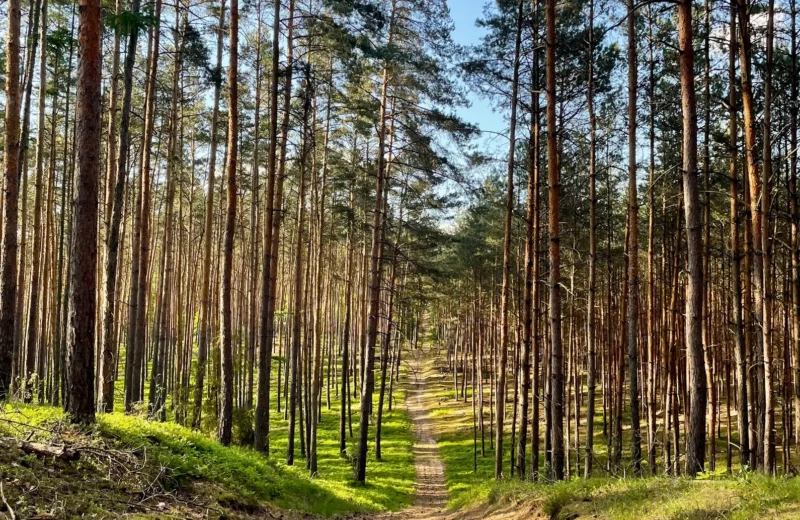 Urlaub Polen