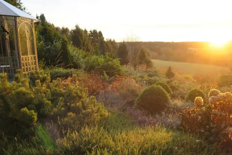 Ferienhaus Sonne, Harz und Sterne