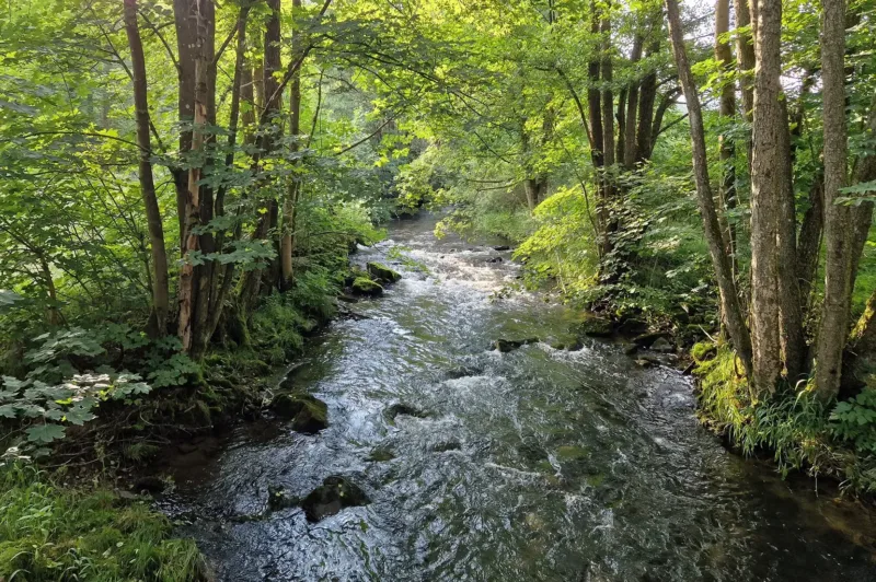 Holzhaus mit Kamin - Am Forellenfluss