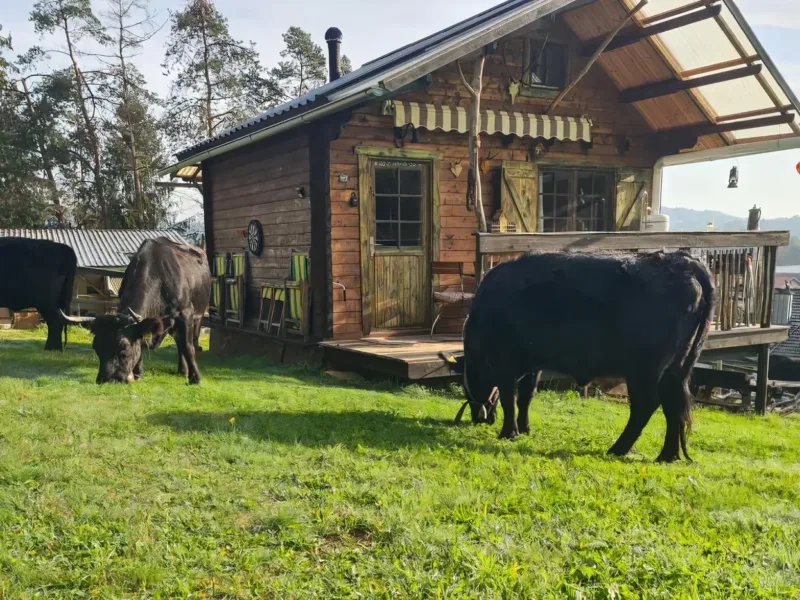 Reiseziele in Deutschland im März