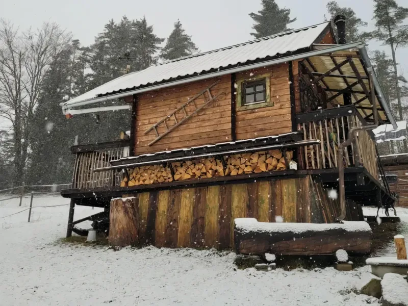 Holzhaus alleine am Waldrand