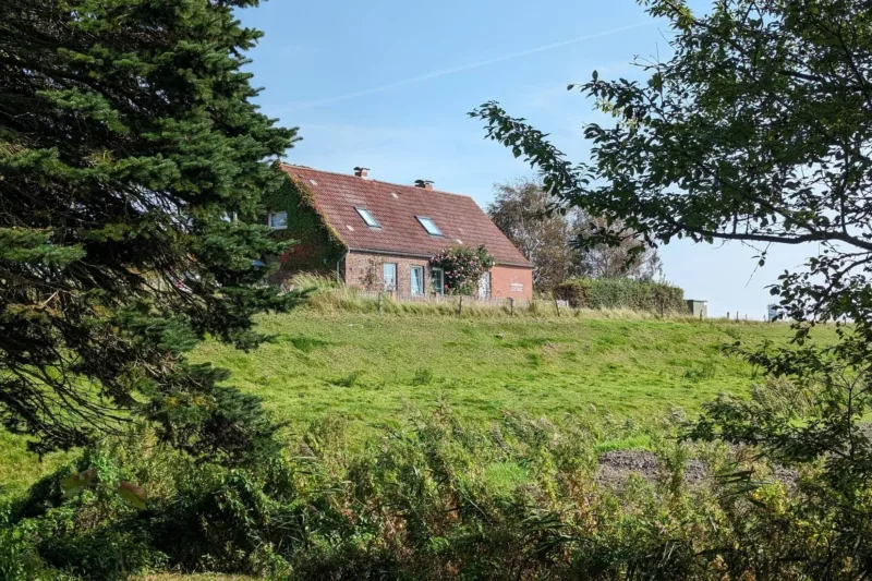 Hygge Cottage am Meer