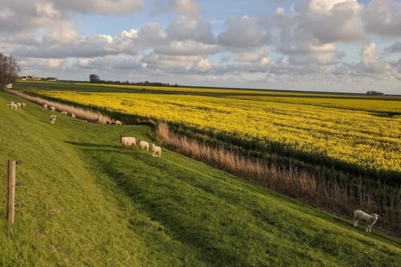 Nordfriesische Inseln