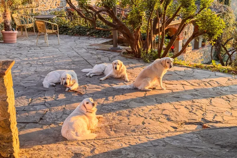 urlaub mit baby toskana