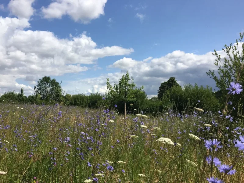 urlaub mit baby Mecklenburgische Seenplatte