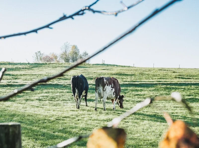 reiseziele deutschland