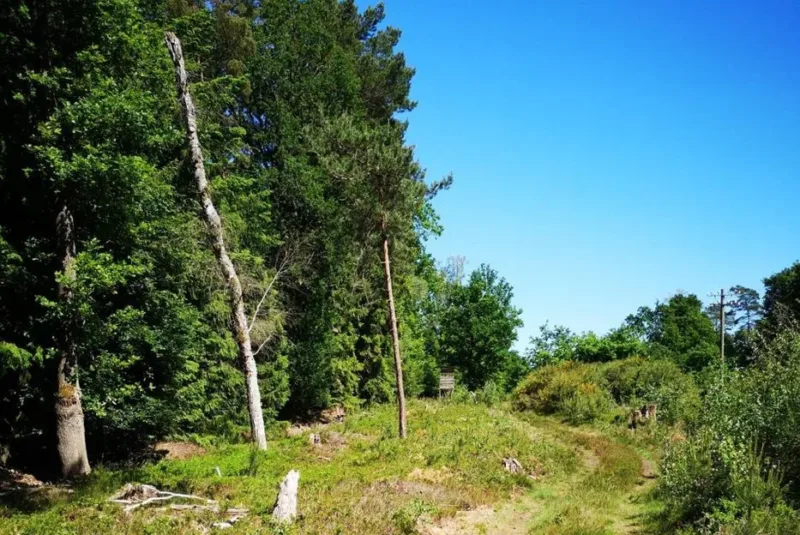 Frielingen Lüttje Heide Huus