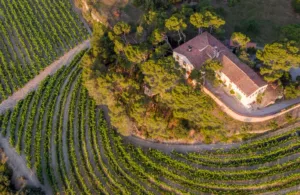 casa campo arboles Tarragona