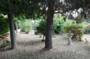 campo naturaleza Cataluña