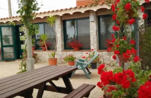 Cataluña flores jardín casa