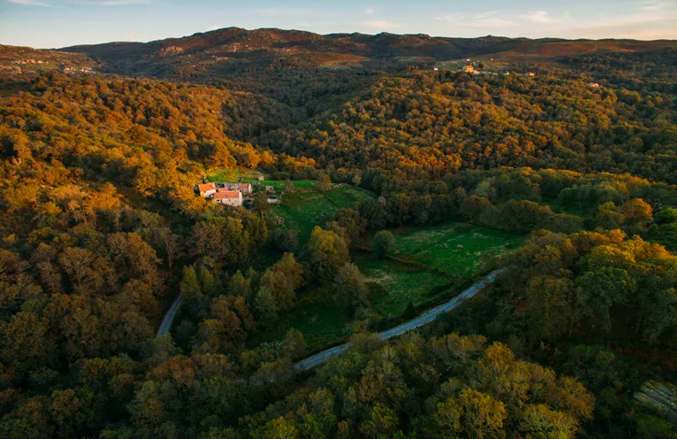 vistas a cabañas en el bosque de un pueblo de Galicia