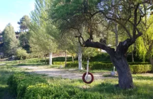 jardines del complejo