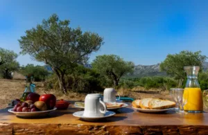 desayuno en un campo
