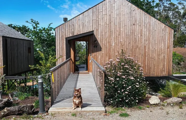 cabañas en el bosque con mascotas