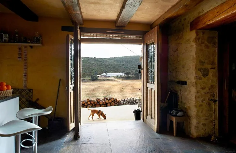 cabañas en el bosque 