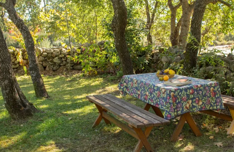 jardín con una mesa para comer