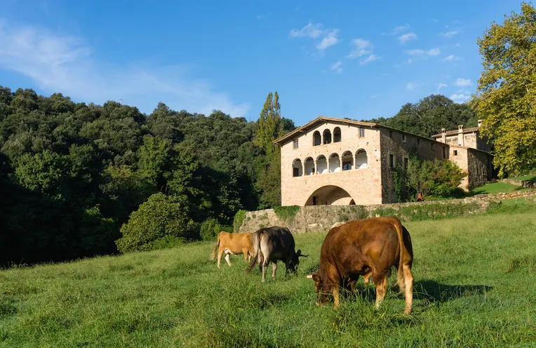 cabañas en el bosque catalunya