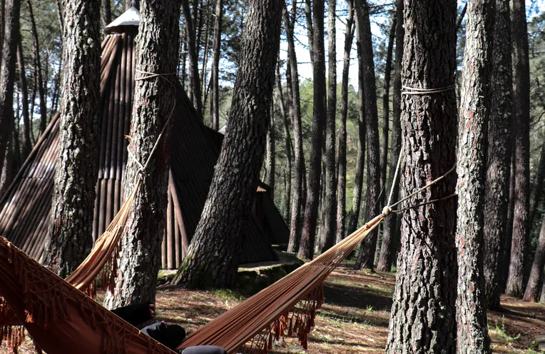 cabañas en el bosque