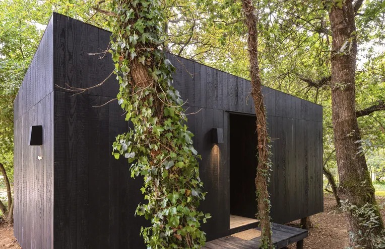 cabañita de madera en pleno bosque