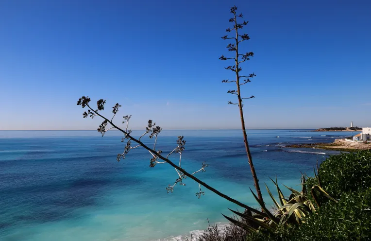 playa vista naturaleza Cádiz 
