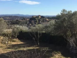 las vistas