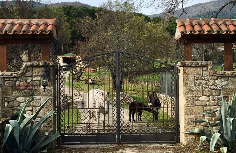 animales en una finca tradicional española