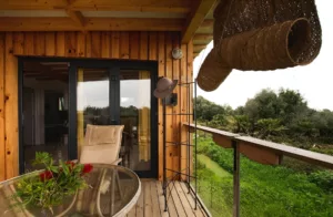 la terraza