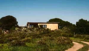 los bosques alrededores