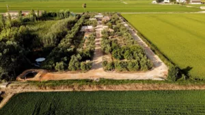 los alrededores de la finca
