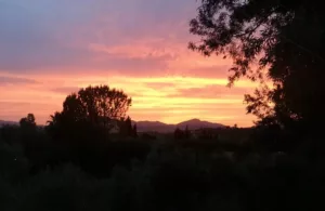 vistas al precioso atardecer en el campo