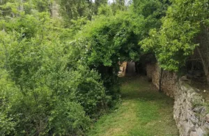 el jardín de la casa