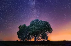 vistas al cielo estrellado