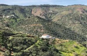 vistas a la cabaña desde lo lejos del campo