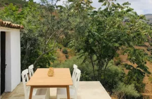 terraza de la casita de campo en Málaga