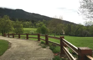 un camino de campo