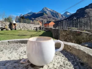 las vistas