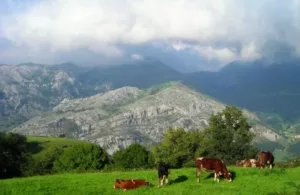 vistas a la montaña
