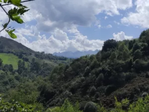 las montañas en los alrededores