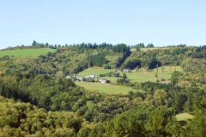 los alrededores