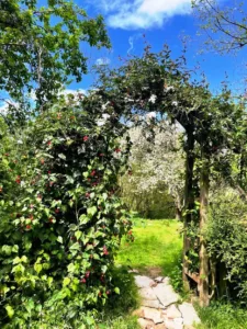 jardín