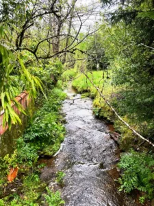 los alrededores