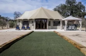 yurta